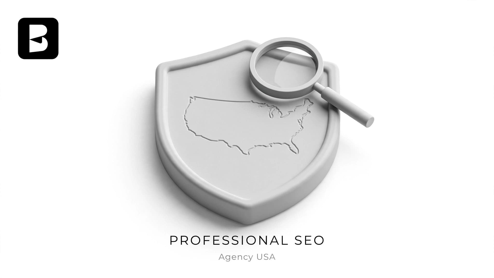 Professional SEO Agency