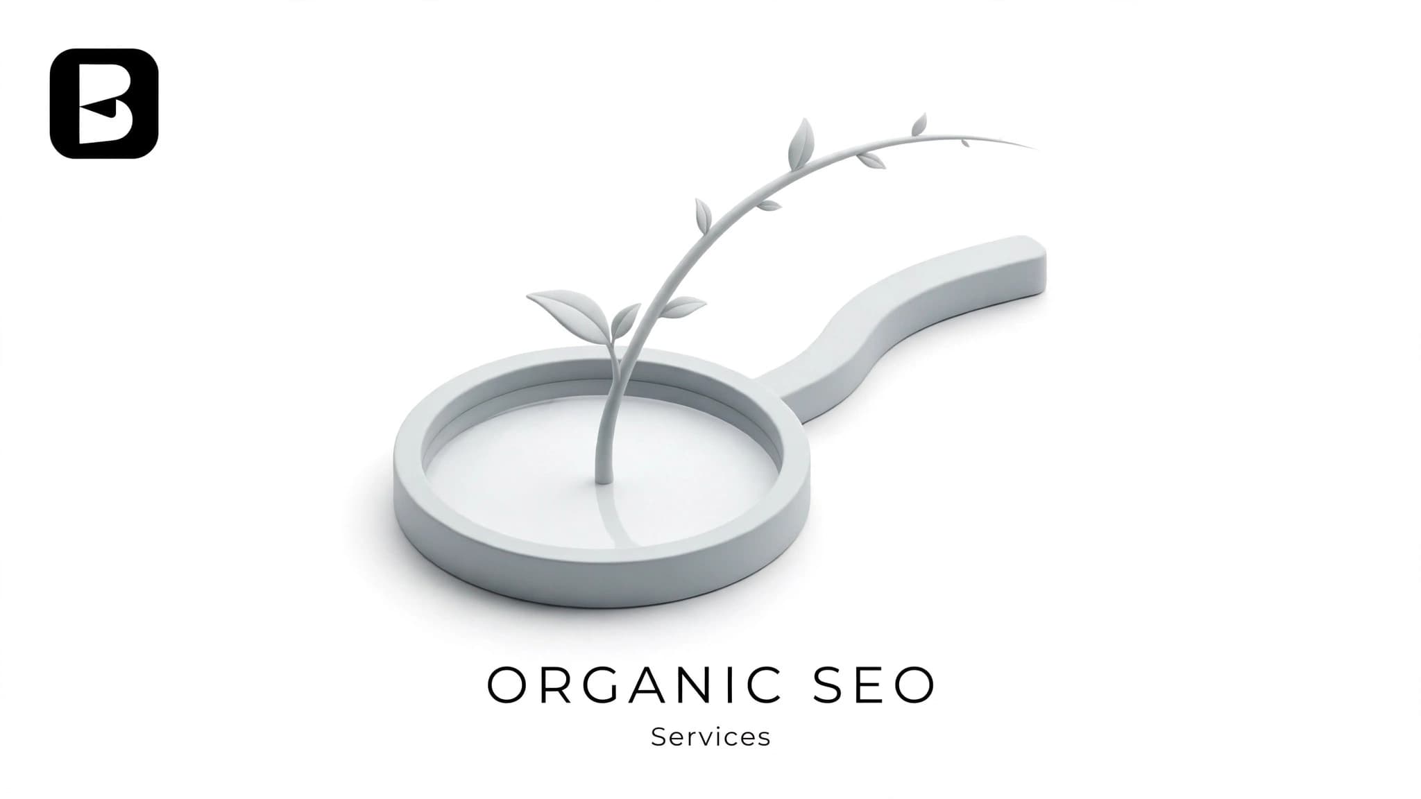 Organic SEO Service