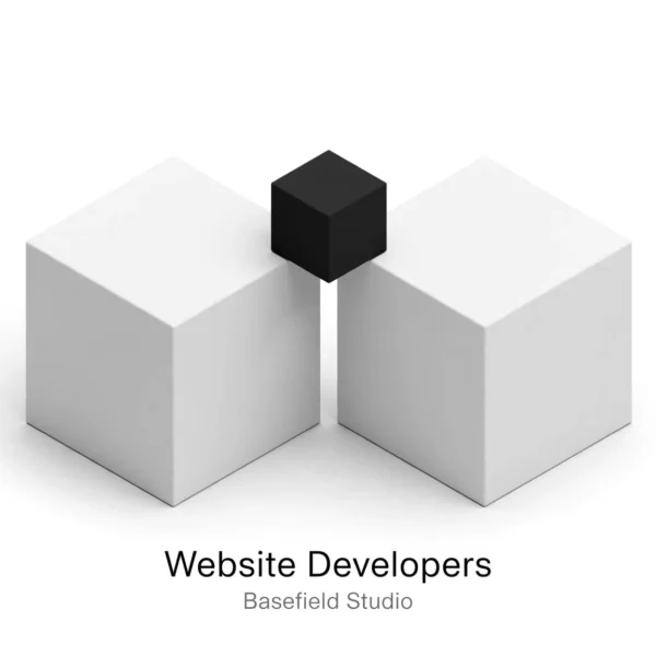 Website Developers